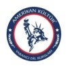 Amerika-kultur-logo