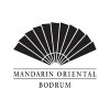 Mandarin-Oriental-logo
